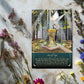 Stack of Starlight Tarot Oracle Deck cards highlighting their rounded corners and durability, perfect for learning to read tarot without a guidebook.