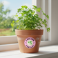 Parsley 2