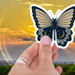 Black Moonlit Butterfly Sticker showcased on a laptop, demonstrating the durable and colorful black butterfly sticker, perfect for stylish decoration.